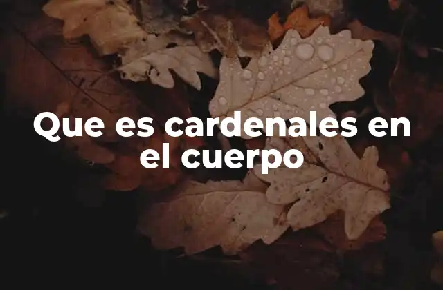 Que es Cardenales en el Cuerpo