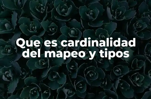 Que es Cardinalidad Del Mapeo y Tipos