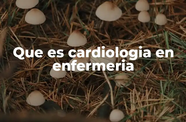 Que es Cardiologia en Enfermeria