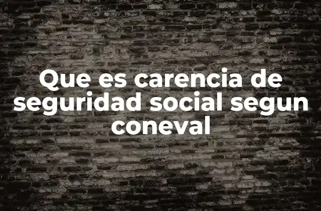 Que es Carencia de Seguridad Social Segun Coneval