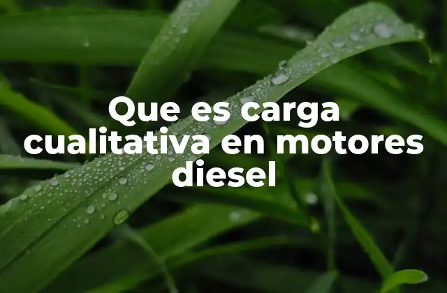 Que es Carga Cualitativa en Motores Diesel