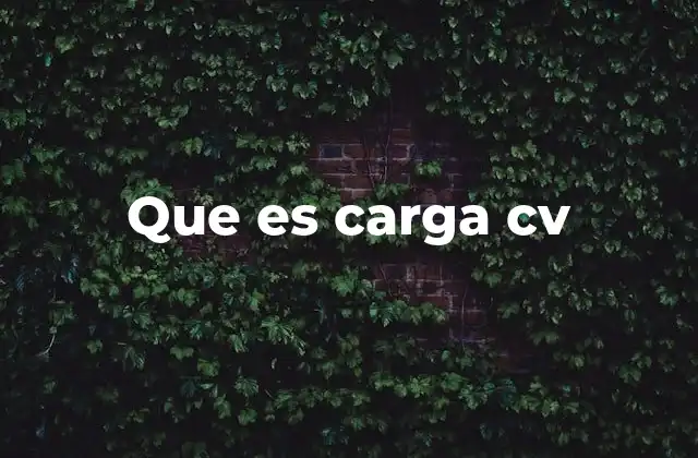 Que es Carga Cv