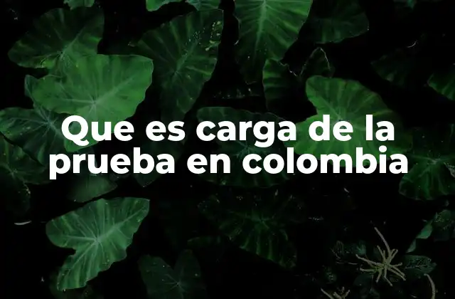 Que es Carga de la Prueba en Colombia