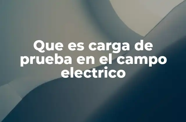 Que es Carga de Prueba en el Campo Electrico