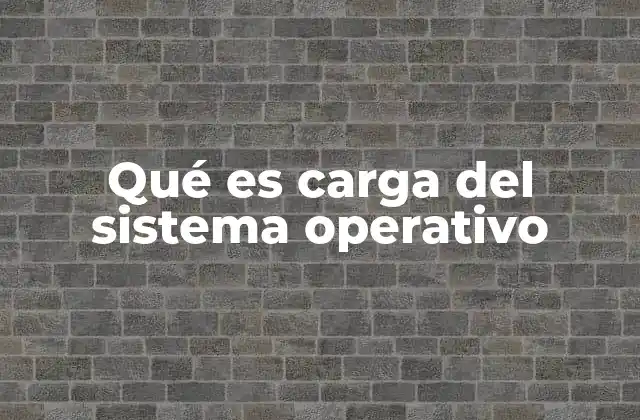 Qué es Carga Del Sistema Operativo