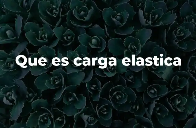 Que es Carga Elastica