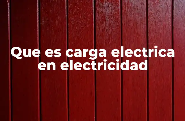 Que es Carga Electrica en Electricidad