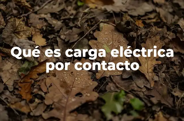 Qué es Carga Eléctrica por Contacto