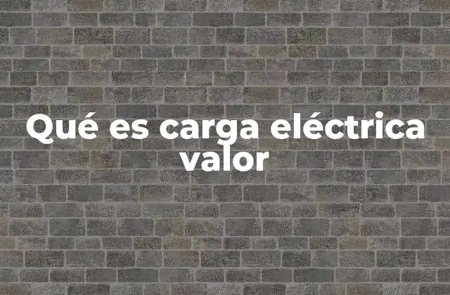 Qué es Carga Eléctrica Valor