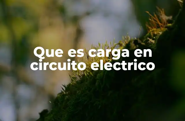 Que es Carga en Circuito Electrico 2 Cómo la carga eléctrica interactúa con los componentes de un circuito
