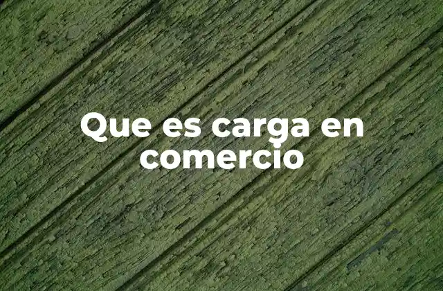 Que es Carga en Comercio