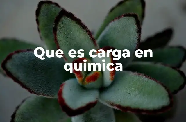 Que es Carga en Quimica