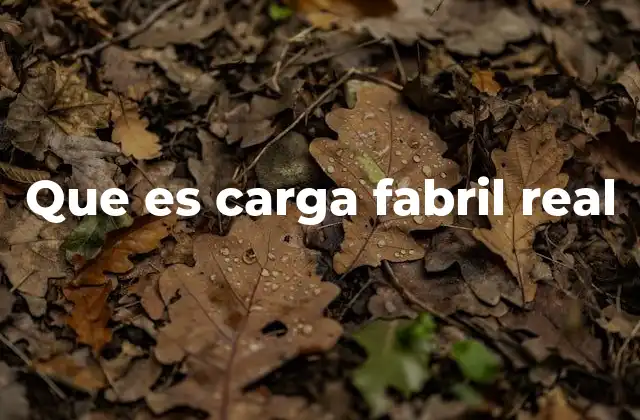 Factores que influyen en la carga fabril real