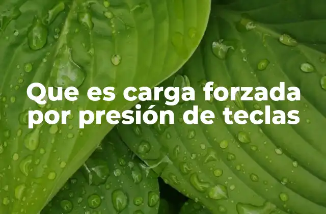 Que es Carga Forzada por Presión de Teclas 2 Entendiendo la presión externa en contextos digitales