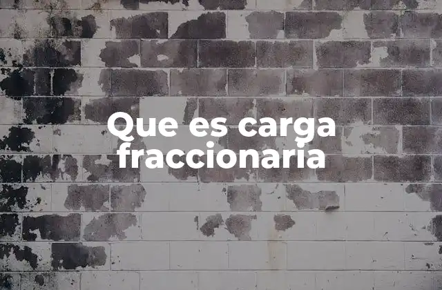 Que es Carga Fraccionaria