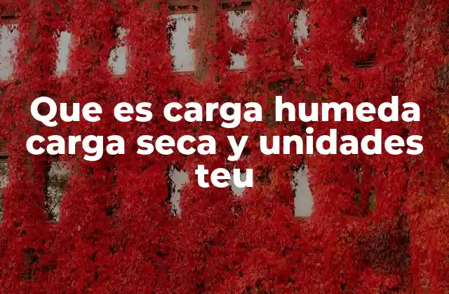 Que es Carga Humeda Carga Seca y Unidades Teu