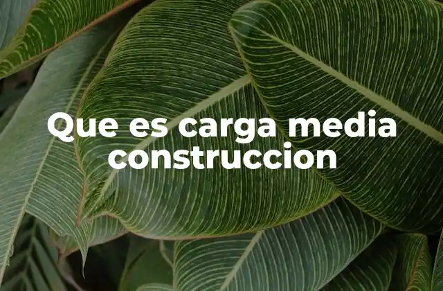 Que es Carga Media Construccion