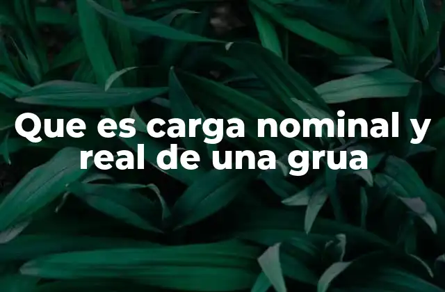 Que es Carga Nominal y Real de una Grua