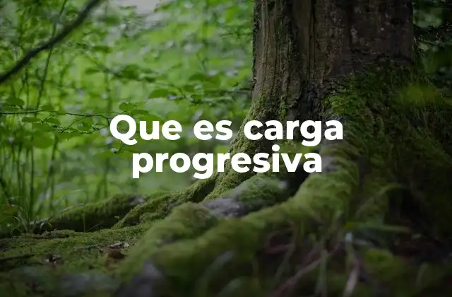 Que es Carga Progresiva