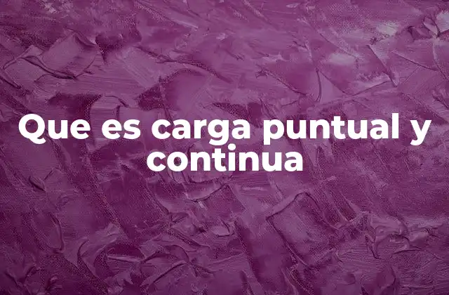 Que es Carga Puntual y Continua