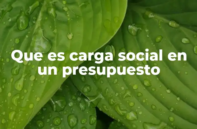 Que es Carga Social en un Presupuesto