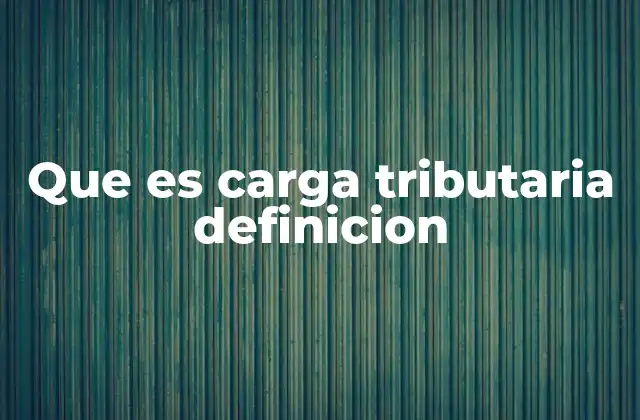 Que es Carga Tributaria Definicion