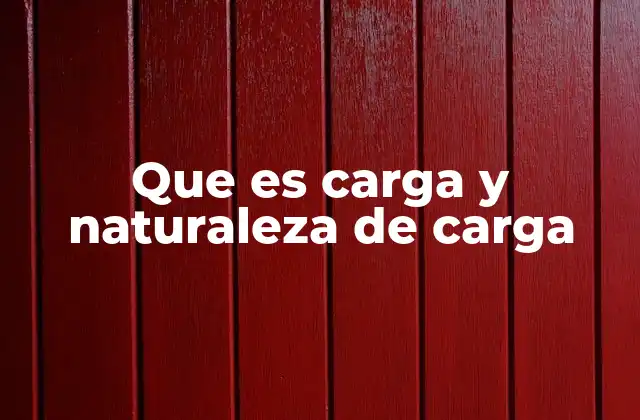 Que es Carga y Naturaleza de Carga