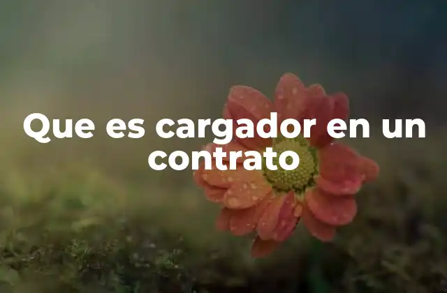 Que es Cargador en un Contrato