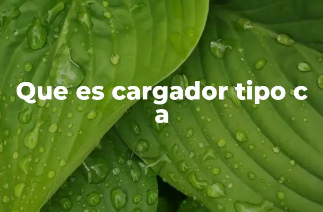 Que es Cargador Tipo C a