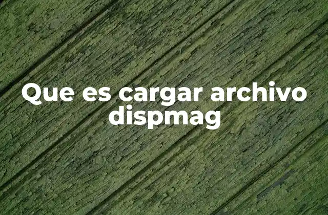 Que es Cargar Archivo Dispmag 2 Cómo prepararse para cargar un archivo DISPMAG