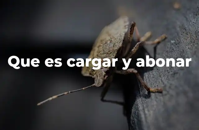 Que es Cargar y Abonar 2 Diferencias clave entre cargar y abonar
