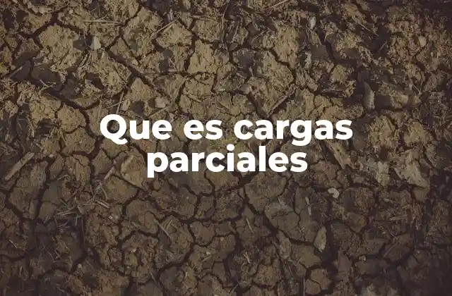 Que es Cargas Parciales