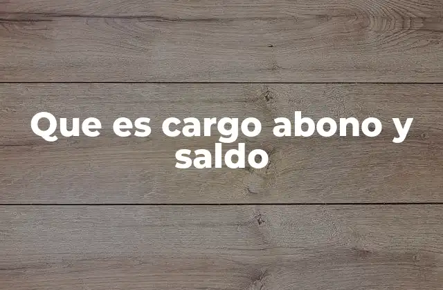 Que es Cargo Abono y Saldo