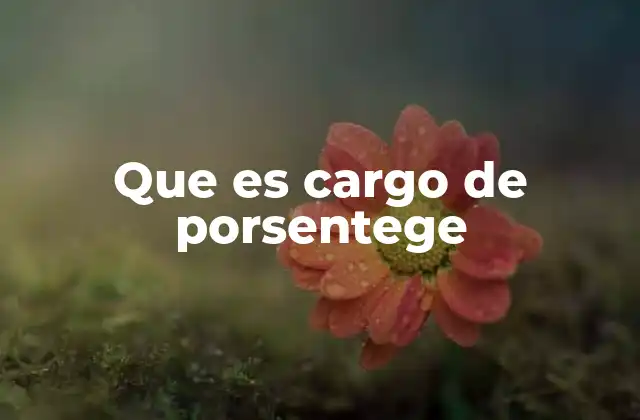 Que es Cargo de Porsentege
