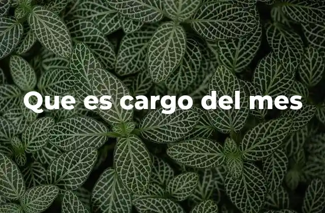 Que es Cargo Del Mes