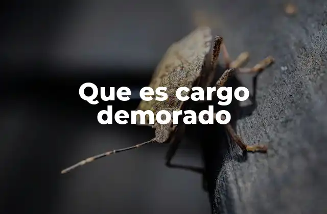 Que es Cargo Demorado