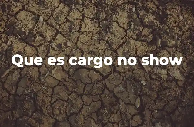 Que es Cargo No Show