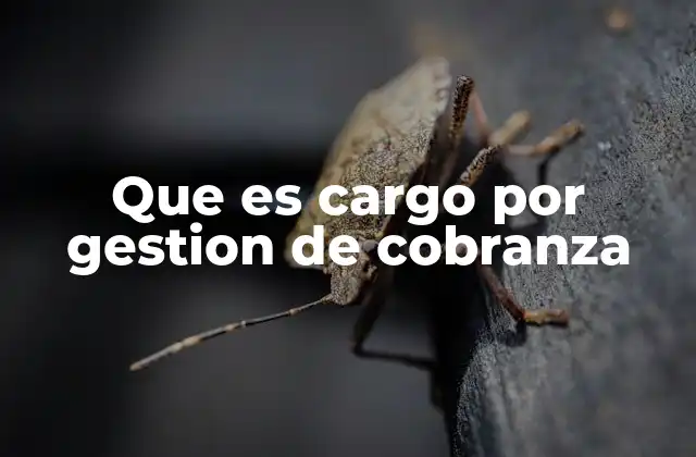 Que es Cargo por Gestion de Cobranza