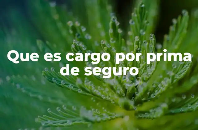 Que es Cargo por Prima de Seguro