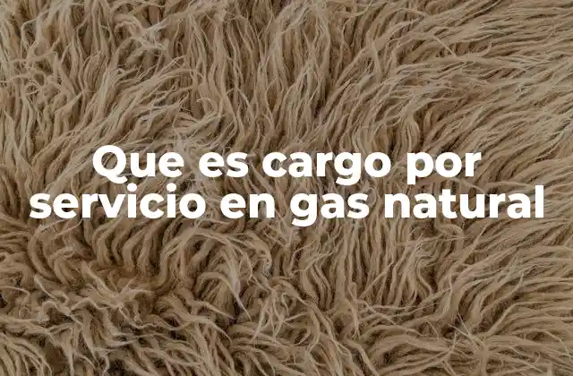 Que es Cargo por Servicio en Gas Natural
