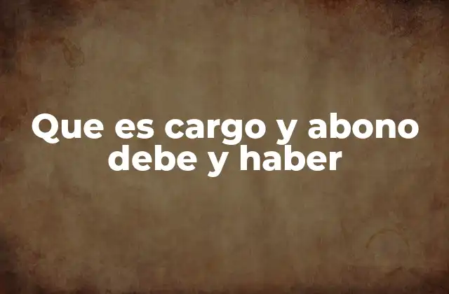 Que es Cargo y Abono Debe y Haber