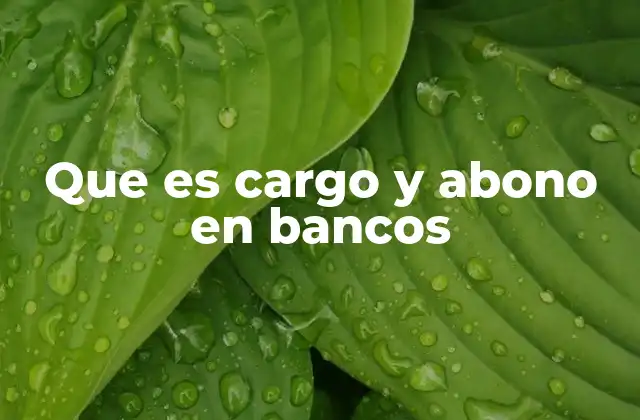 Que es Cargo y Abono en Bancos