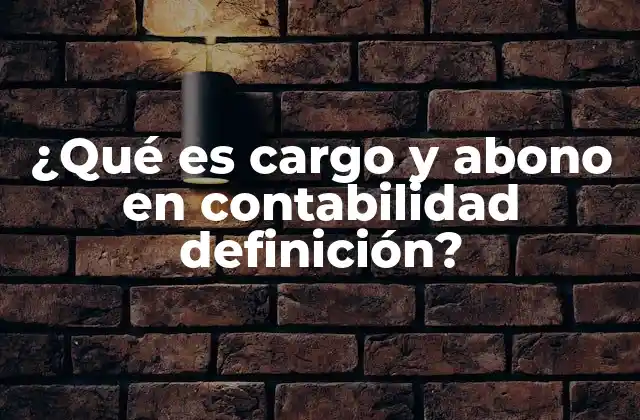 ¿qué es Cargo y Abono en Contabilidad Definición?