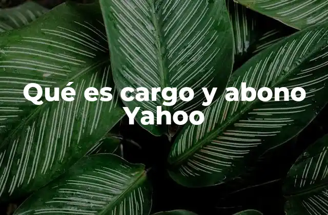 Qué es Cargo y Abono Yahoo