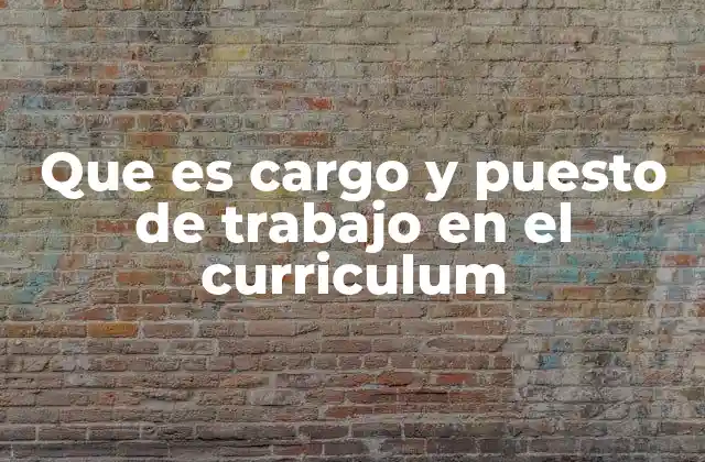 Que es Cargo y Puesto de Trabajo en el Curriculum