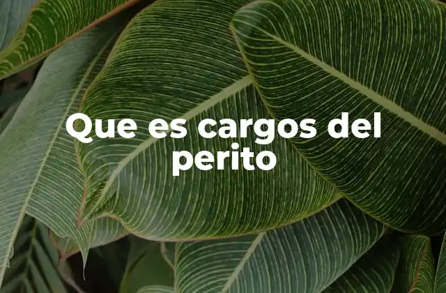 Que es Cargos Del Perito