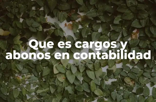 Que es Cargos y Abonos en Contabilidad