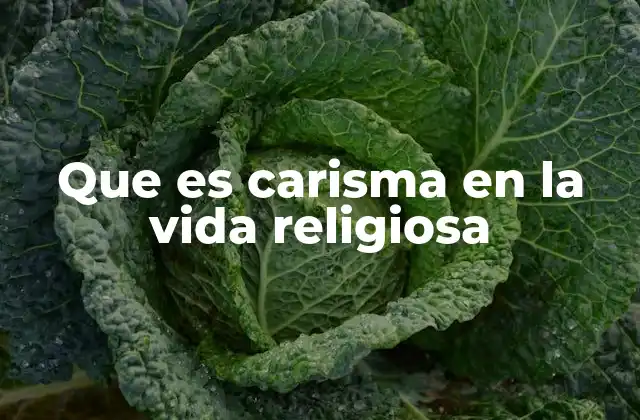 Que es Carisma en la Vida Religiosa