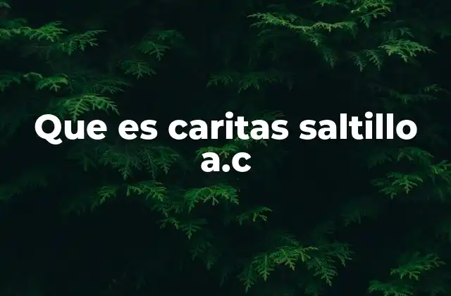 La importancia de las organizaciones como Caritas Saltillo A.C. en la sociedad