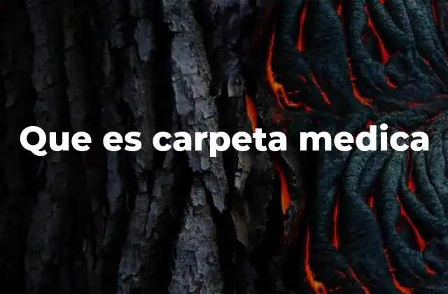 Que es Carpeta Medica